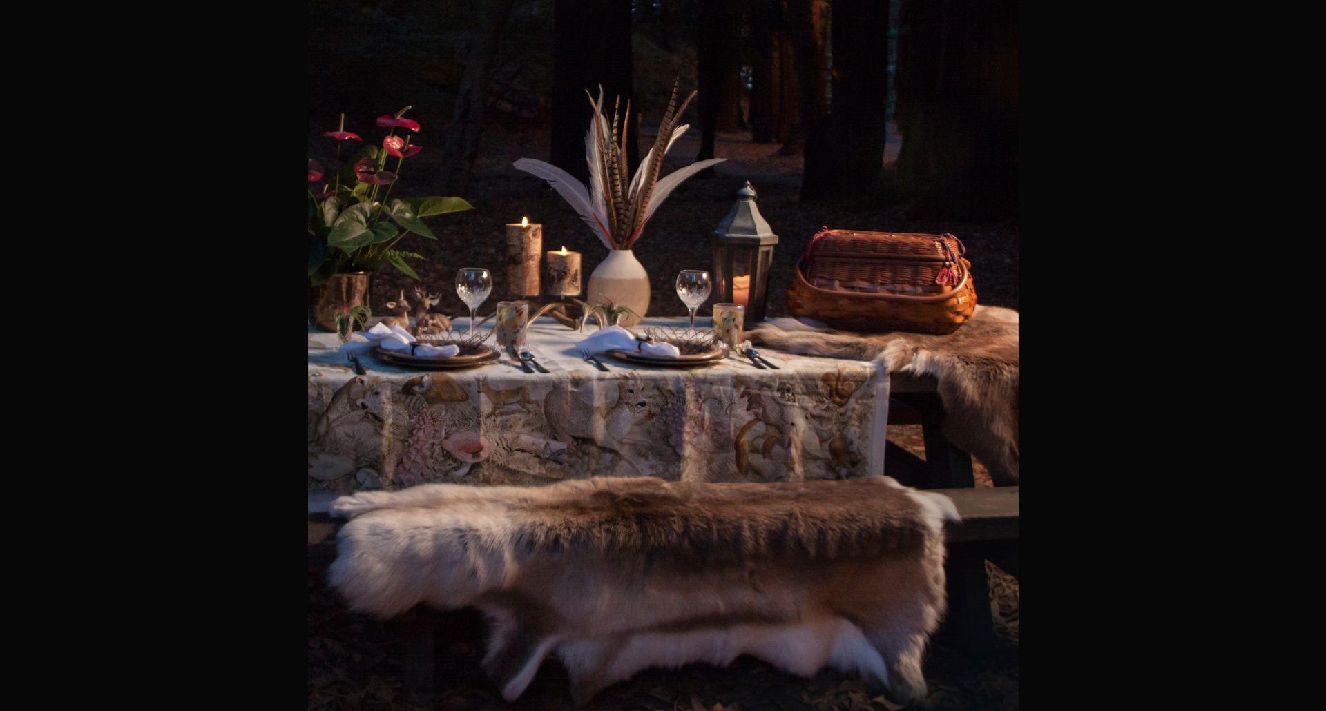 Romantic Picnic for Two