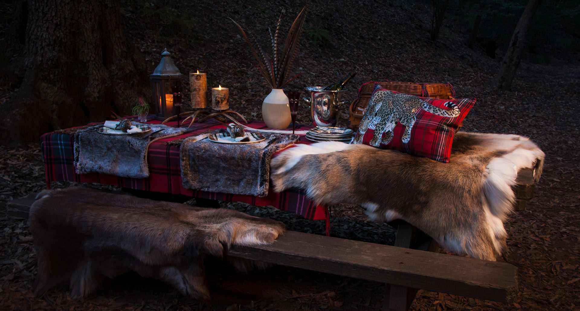 Intimate Picnic in the Woods